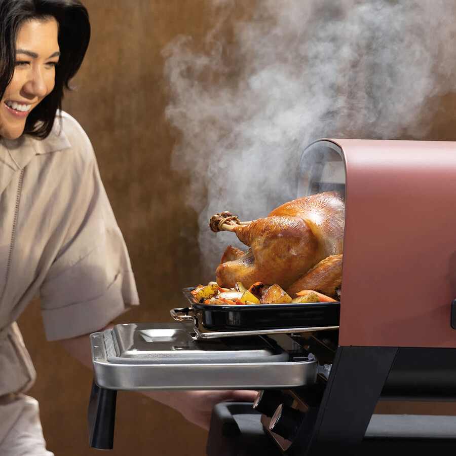 forno da esterno ninja woodfire macchina per pizza artigianale e affumicatore per barbecue con supporto e coperchio