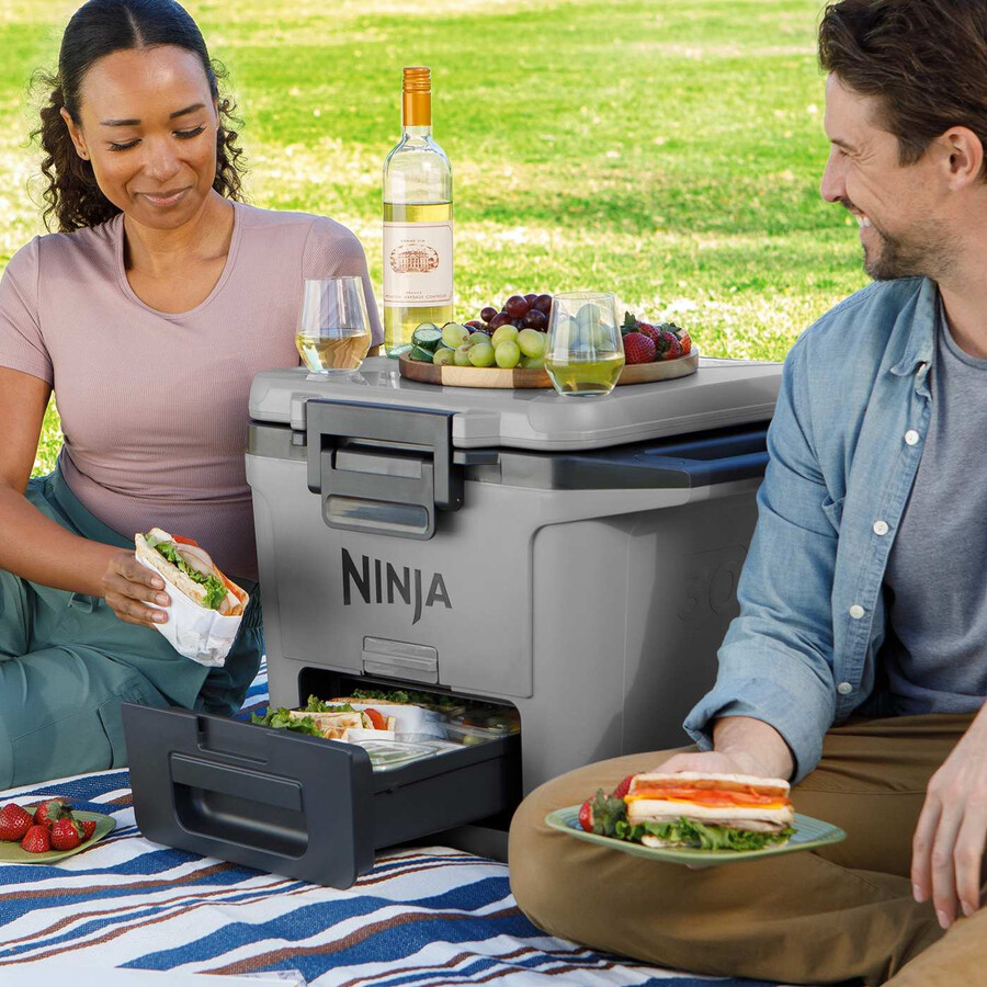 raffreddatore rigido ninja frostvault 30qt28l - grigio ardesia fb131ukgy