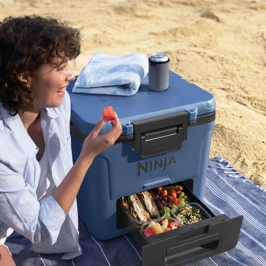 ninja frostvault 30qt28l frigorifero con ruote e zona asciutta lakeshore blue fb230ukbl