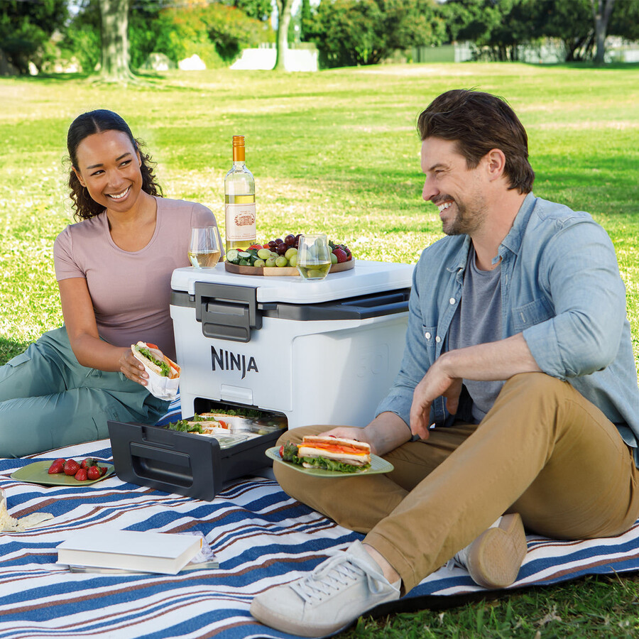 ninja frostvault 30qt28l frigorifero con ruote e zona asciutta grigio ardesia fb230ukgy
