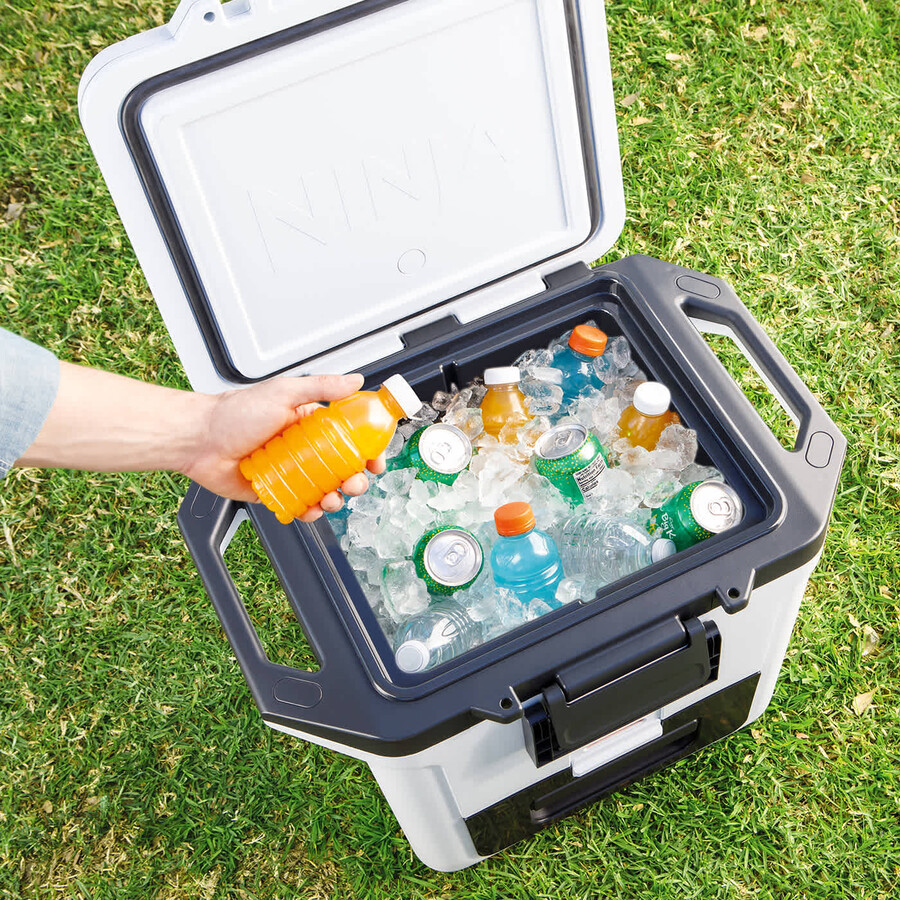 ninja frostvault 30qt28l frigorifero con ruote e zona asciutta grigio ardesia fb230ukgy